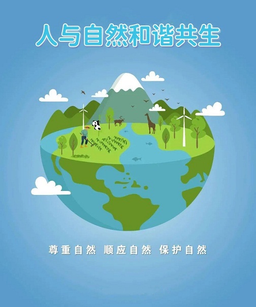 1732257638730576.jpeg 1.jpeg